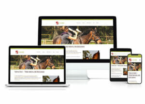 Webdesign Yvonne Ernst - Pferdetraining